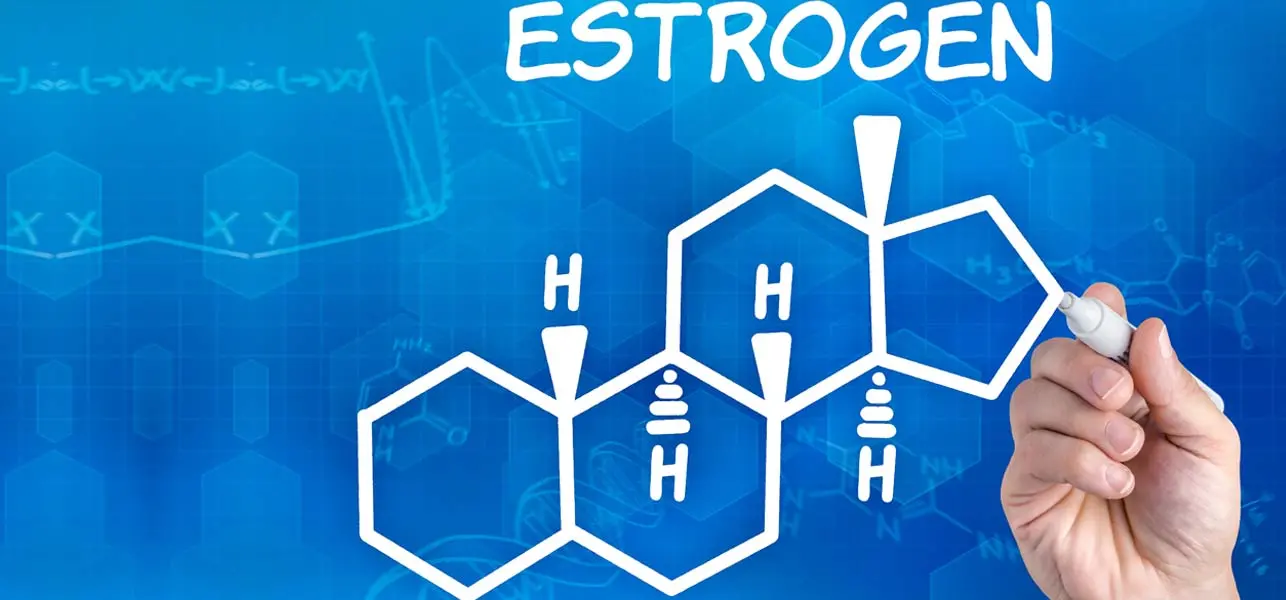 estrogen.steroidsites.b5c5c